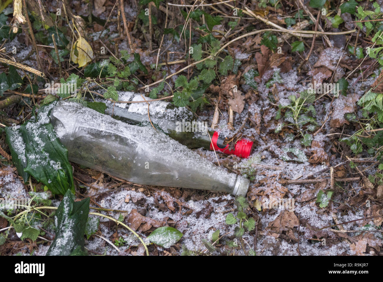 PTFE vide bouteille de boisson en plastique jetés dans les régions rurales de haie fossé. Métaphore de la pollution en plastique, de la pollution de l'environnement, la guerre sur les déchets plastiques. Banque D'Images