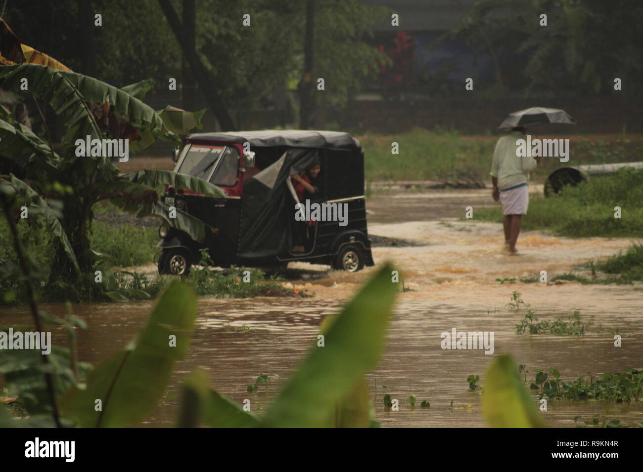 Un rickshaw voyage le long d'une route submergée lors de fortes pluies et inondations au Kerala en 2018 en tant que personne holding umbrella promenades par. Banque D'Images