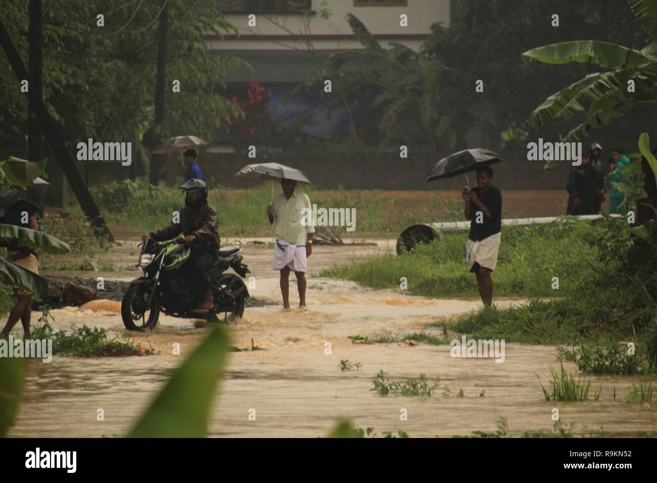 Un vélo voyage le long d'une route submergée sous de fortes pluies et inondations au Kerala comme les gens des parasols watch par. Banque D'Images