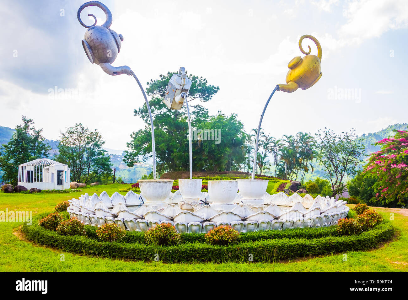 Beau thé oolong vert frais de plantation sur le terrain Mettre Wang Tan la plantation de thé, Mae Salong près de Chiang Rai, au nord de la Thaïlande en Asie Banque D'Images