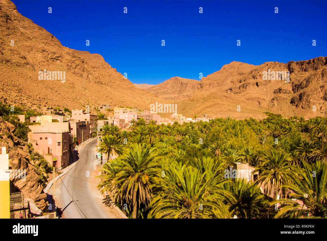 Magnifique paysage de palm oasis près de Tinghir, Maroc en Afrique Banque D'Images