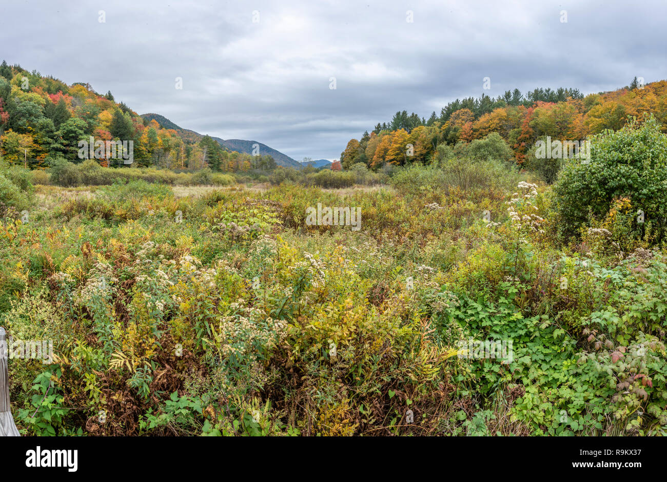 Sentier du ruisseau tonitruantes, Green Mountain National Forest, Woodstock, Vermont Banque D'Images