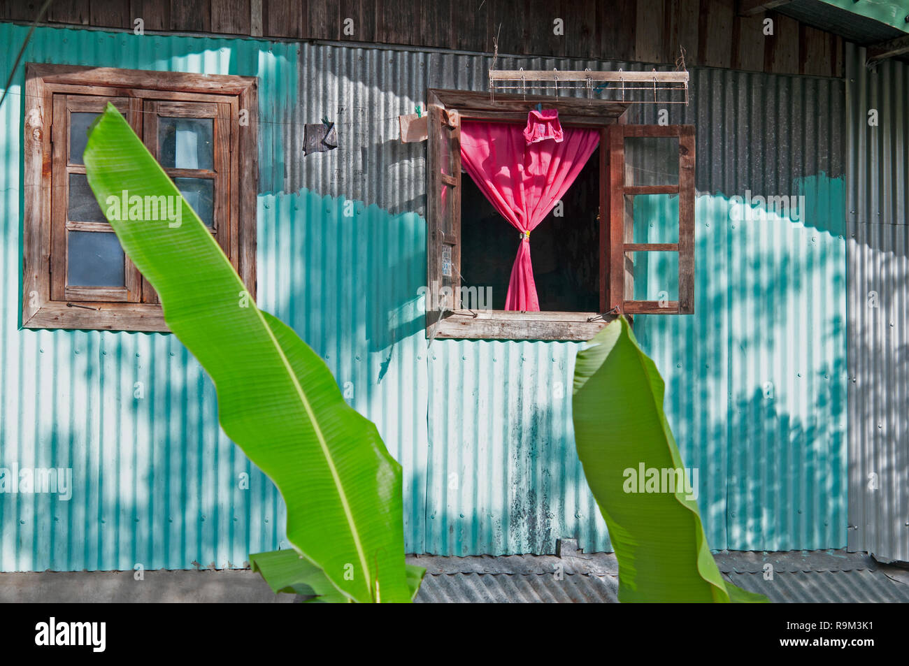 Green House à Banaue Rice Terraces, Province d'Ifugao, Cordillera, Luzon, Philippines, Asie, Asie du Sud, UNESCO World Heritage Banque D'Images