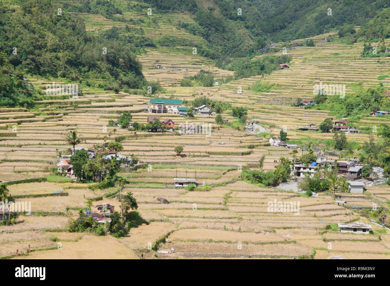 Hapao Rice Terraces, Hungduan, Province d'Ifugao, Cordillera, Luzon, Philippines, Asie, Asie du Sud, UNESCO World Heritage Banque D'Images
