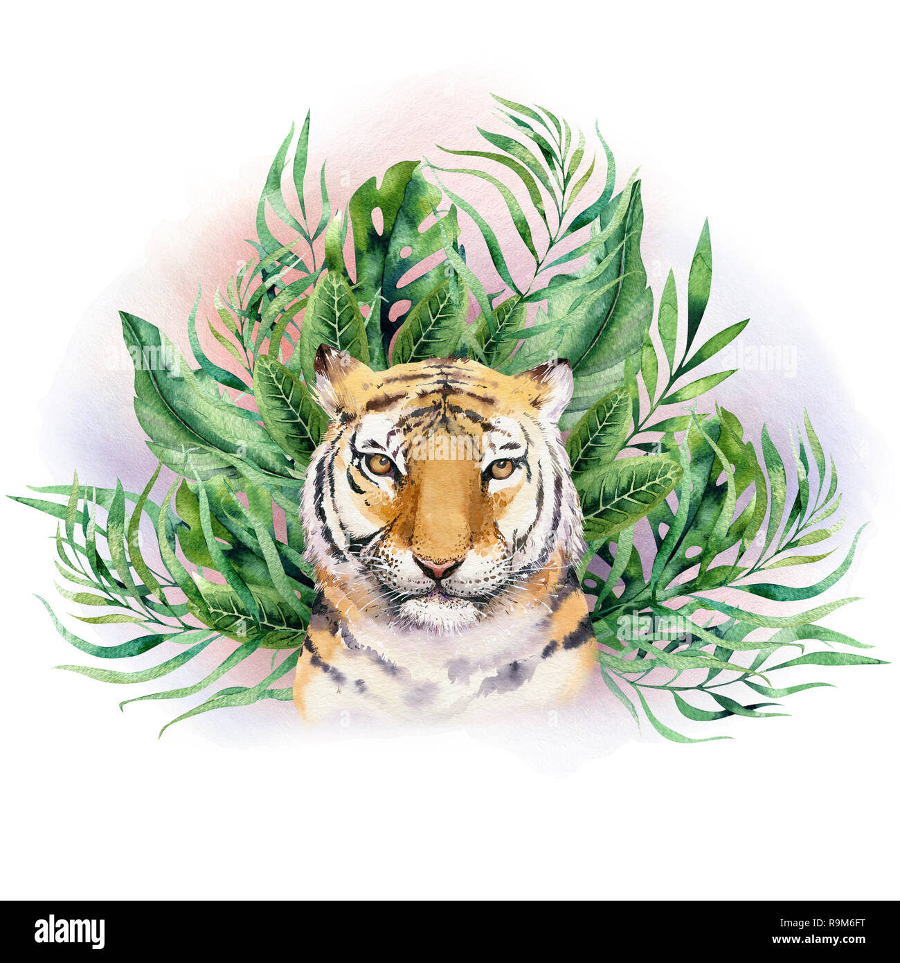 Tigre Et De L Ete Illustration Aquarelle Paradise Tropical Laisse Imprimer Usine De Palm Et Flower Isolated O Blanc Photo Stock Alamy