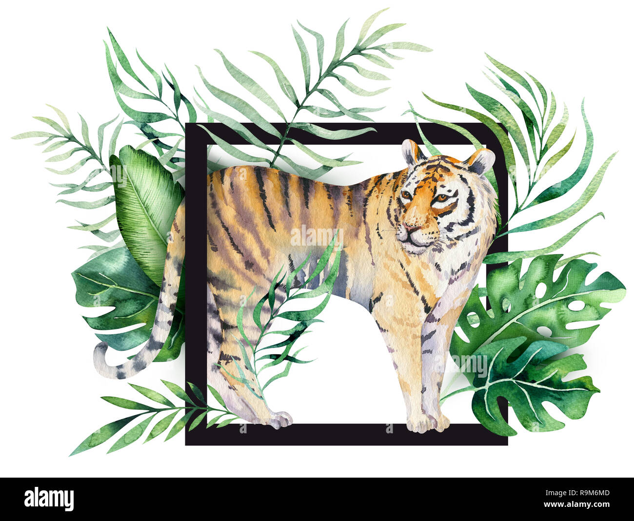 Tigre Et De L Ete Illustration Aquarelle Paradise Tropical Laisse Imprimer Usine De Palm Et Flower Isolated O Blanc Photo Stock Alamy