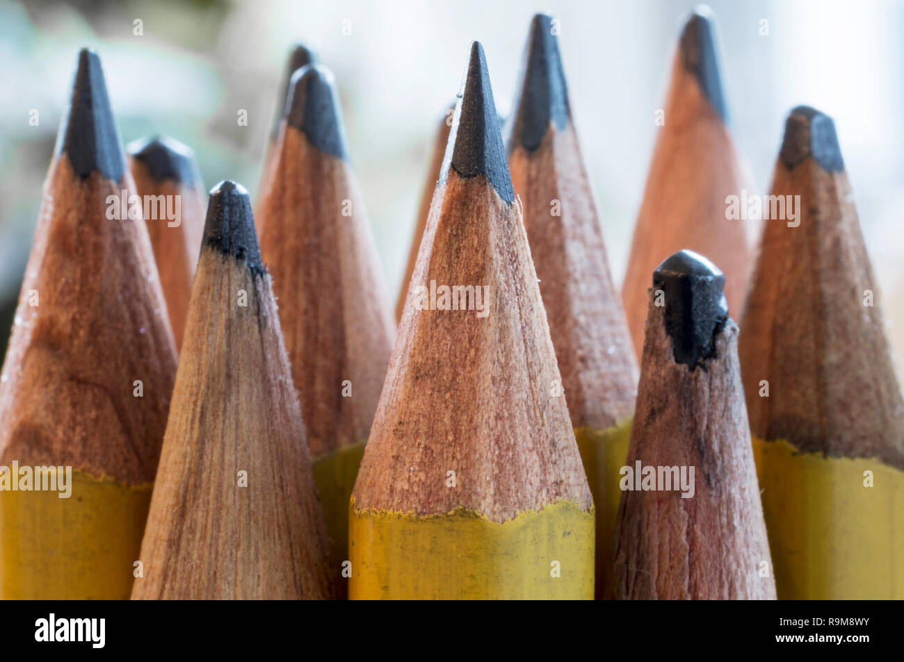 Crayons Sharp dans une rangée et prêt à écrire Banque D'Images