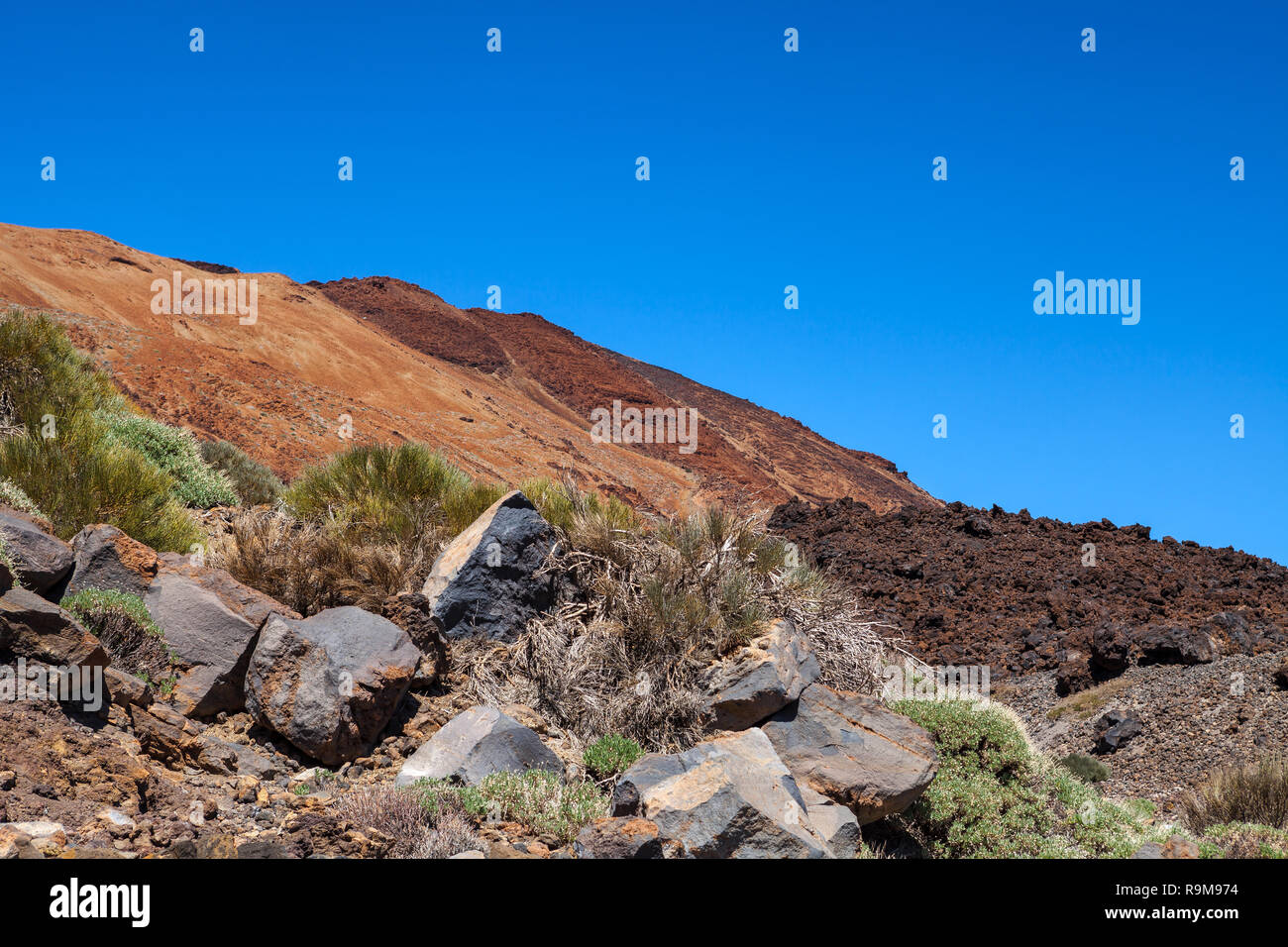 Paysage volcanique de Tenerife, Canaries, Espagne. Banque D'Images