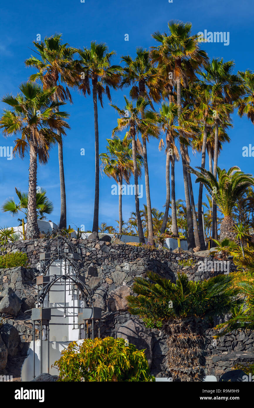 COSTA ADEJE, Tenerife - AVRIL 8,2014 : Belle promenade près de l'hôtel Jardin Tropical en Costa Adeje à Tenerife, Îles Canaries, Espagne. Banque D'Images