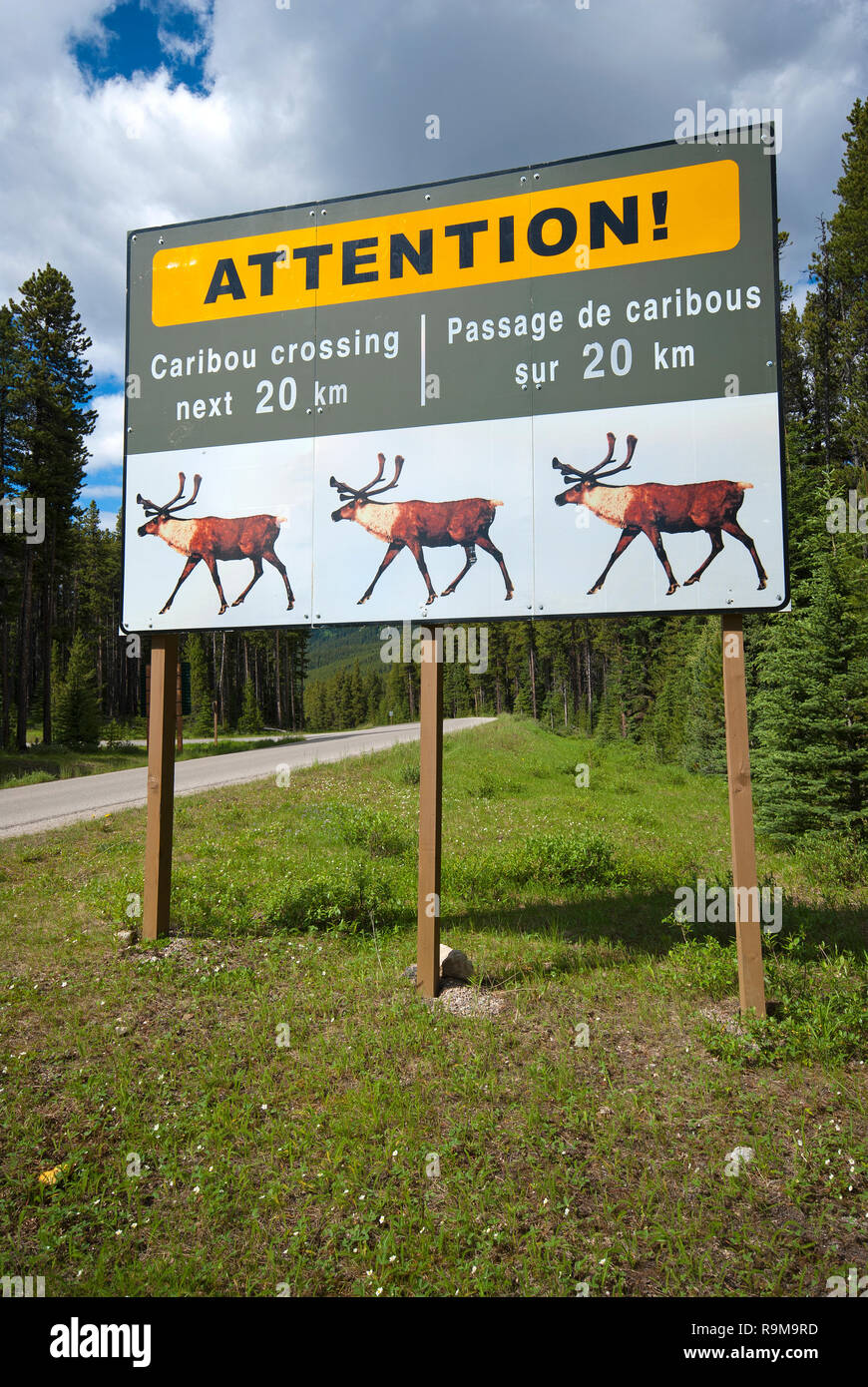 Panneau d'avertissement à propos de Caribou Crossing, Parc National Jasper, Rocheuses, Alberta, Canada Banque D'Images