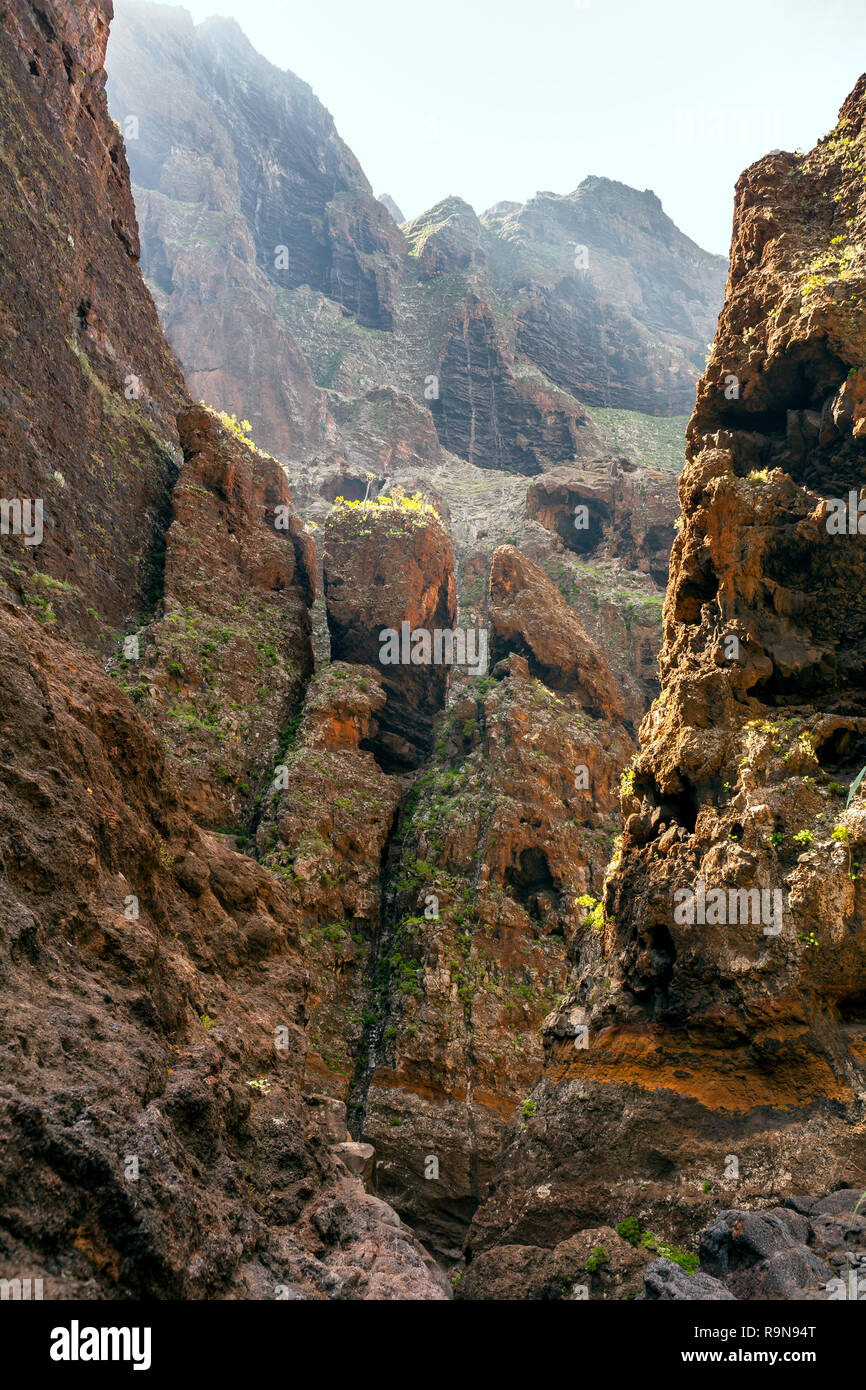 Célèbre canyon Masca à Tenerife, Îles Canaries, Espagne Banque D'Images