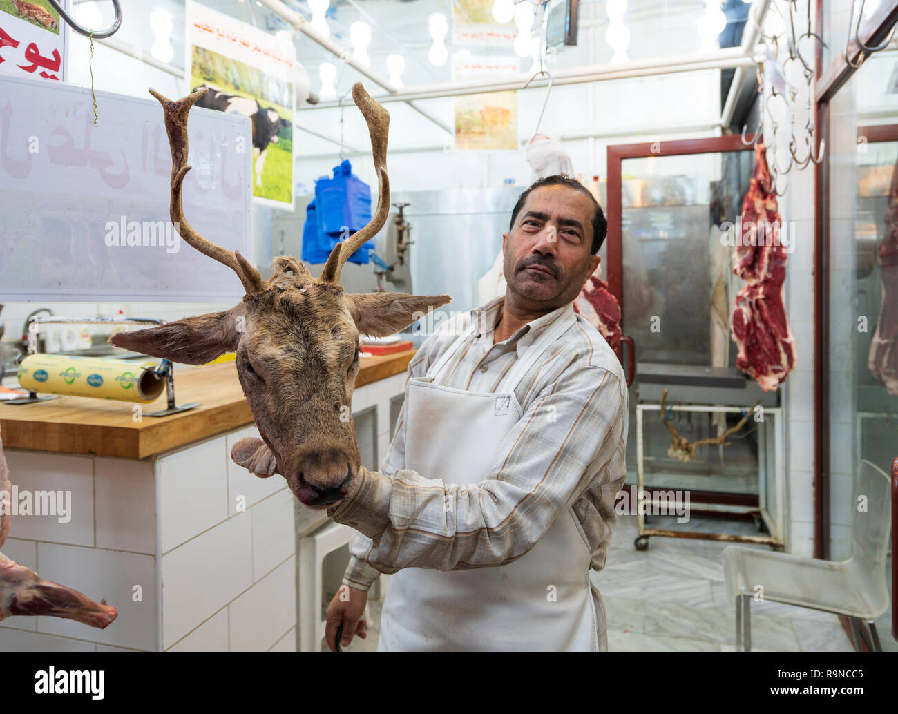 Man holding deer head à boucherie dans Al Out à souk à Fahaheel , Koweït, au Moyen-Orient. Banque D'Images