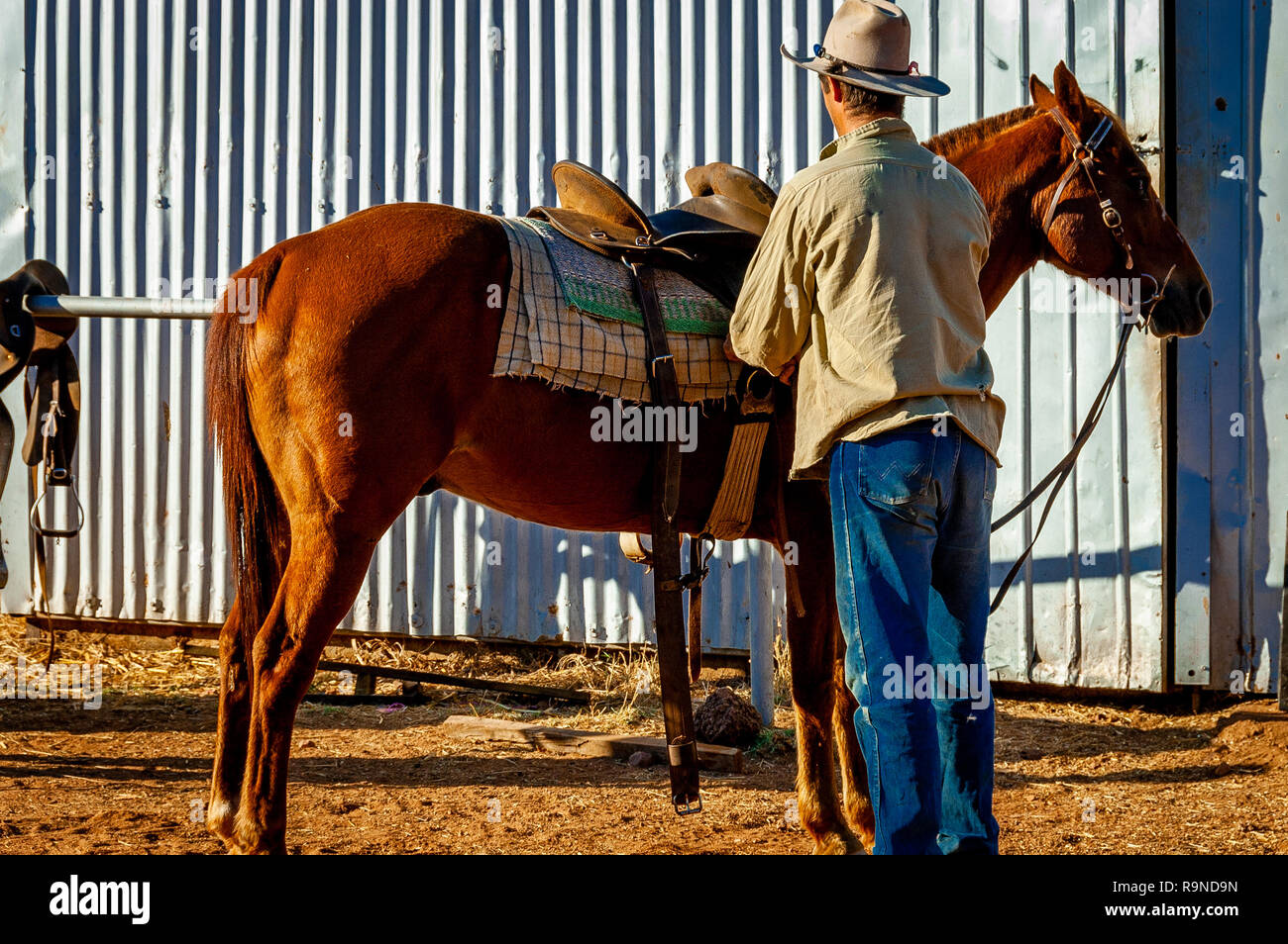 Un Australien stockman avec son cheval dans une cattle station dans la région de Kimberly de l'ouest de l'Australie. Banque D'Images