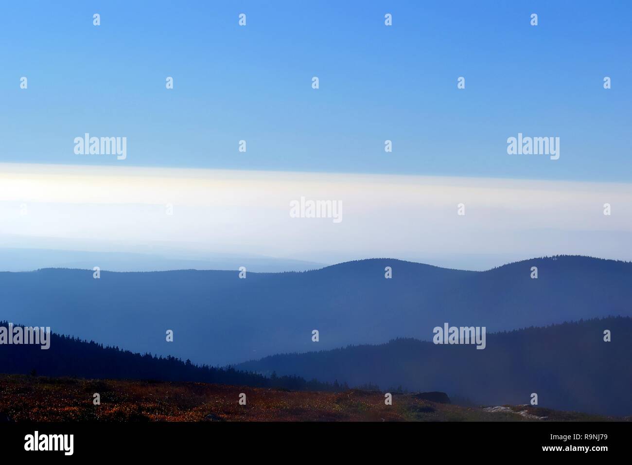 Vue depuis le sommet du Brocken au Parc National de Harz Banque D'Images