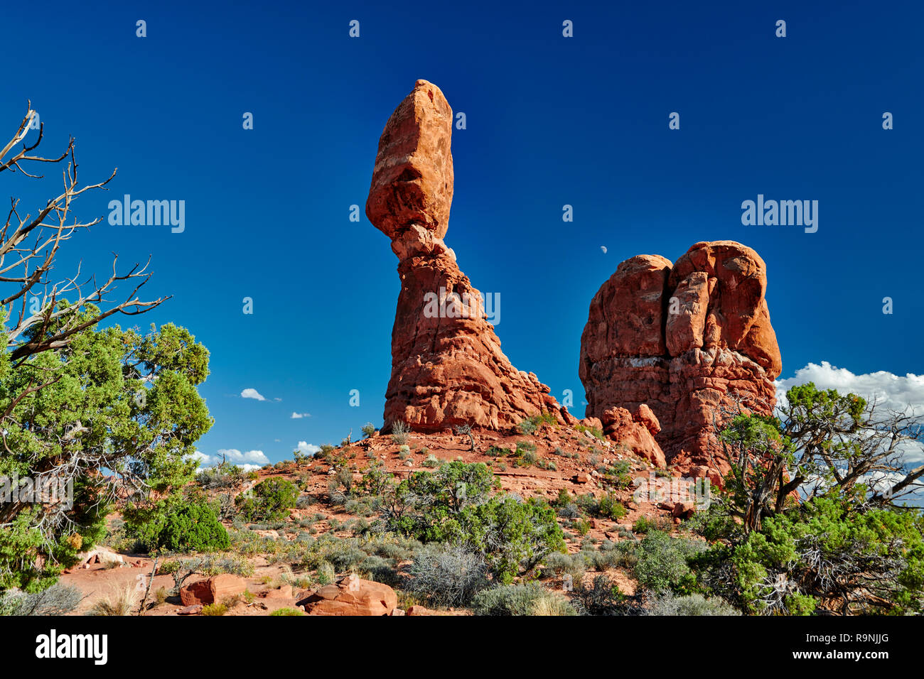 Balanced Rock à Arches National Park, Moab, Utah, USA, Amérique du Nord Banque D'Images