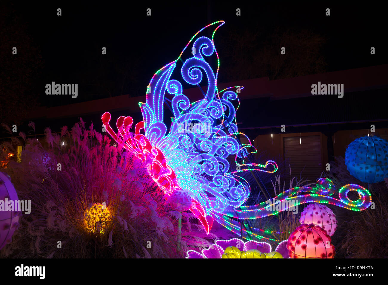 ALBUQUERQUE, Nouveau Mexique, USA - 29 NOVEMBRE 2018 : Dragon Lights Albuquerque, Papillon de soie lanterne. Lanternes de soie un art traditionnel chinois célébrer Banque D'Images