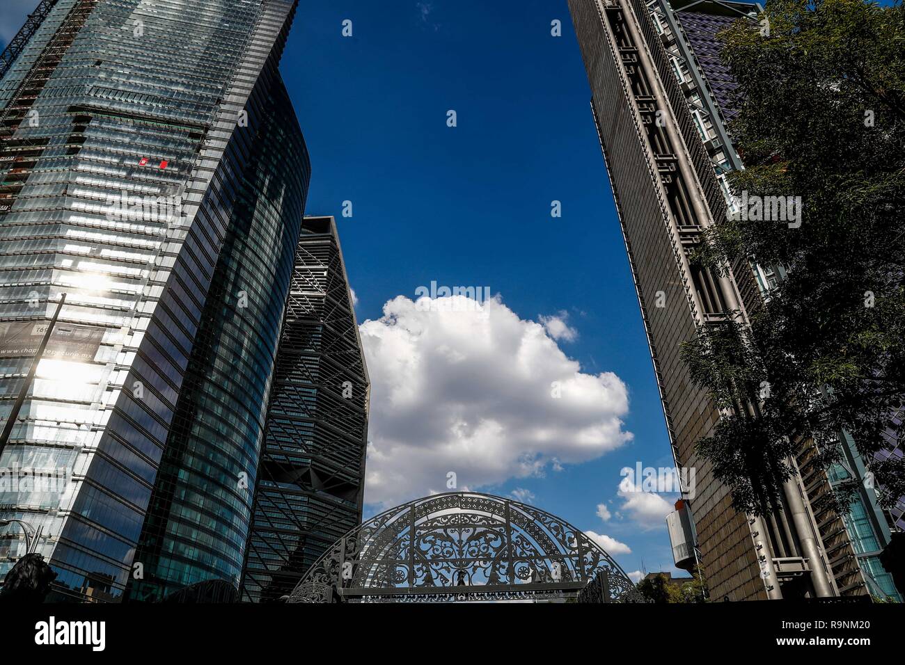 El Bosque de Chapultepec. parque urbano en la Ciudad de México. (Foto : Luis Gutierrez / NortePhoto.com). Banque D'Images