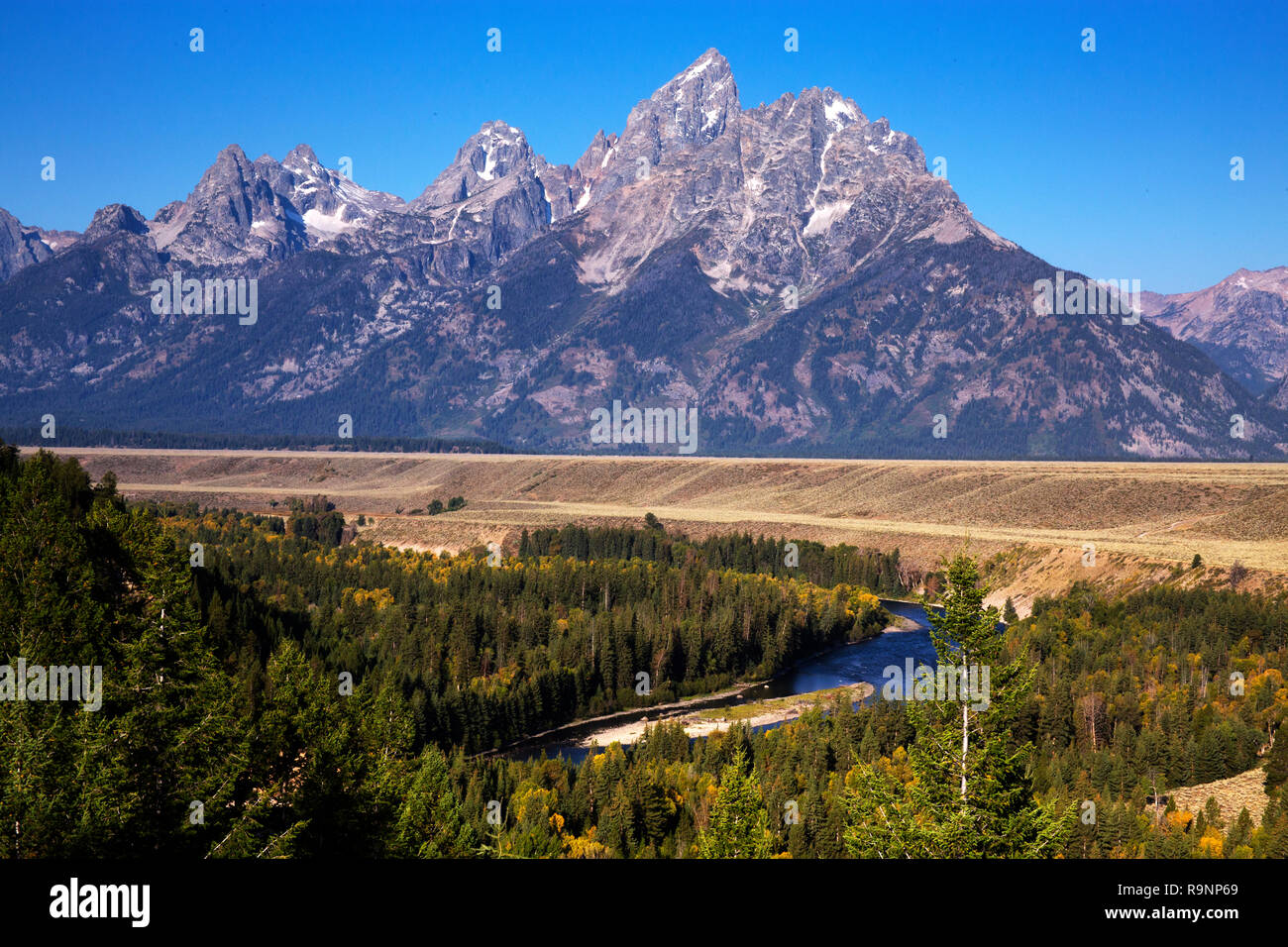 Mont Grand Teton de la Snake River négliger, Parc National de Grand Teton, Wyoming Banque D'Images