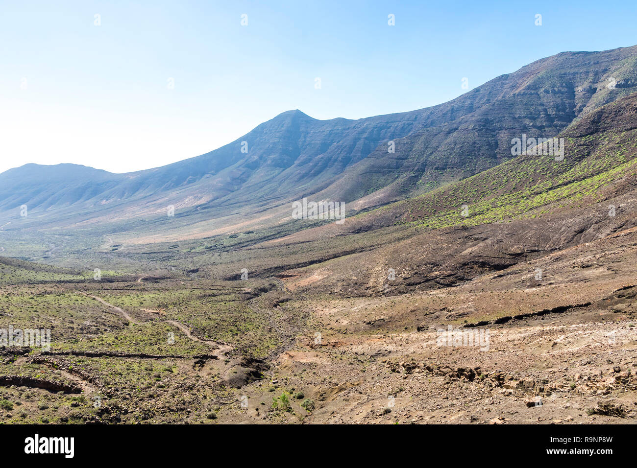 La randonnée sur la Péninsule de Jandia, Fuerteventura, Îles Canaries, Espagne. Dans ce domaine (montagnes du Massif de Jandia) divisé par les vallées profondes (barrancos). Fuerteve Banque D'Images