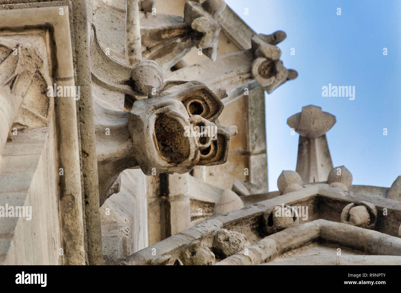 Gargoyle sur façade Notre-Dame Banque D'Images