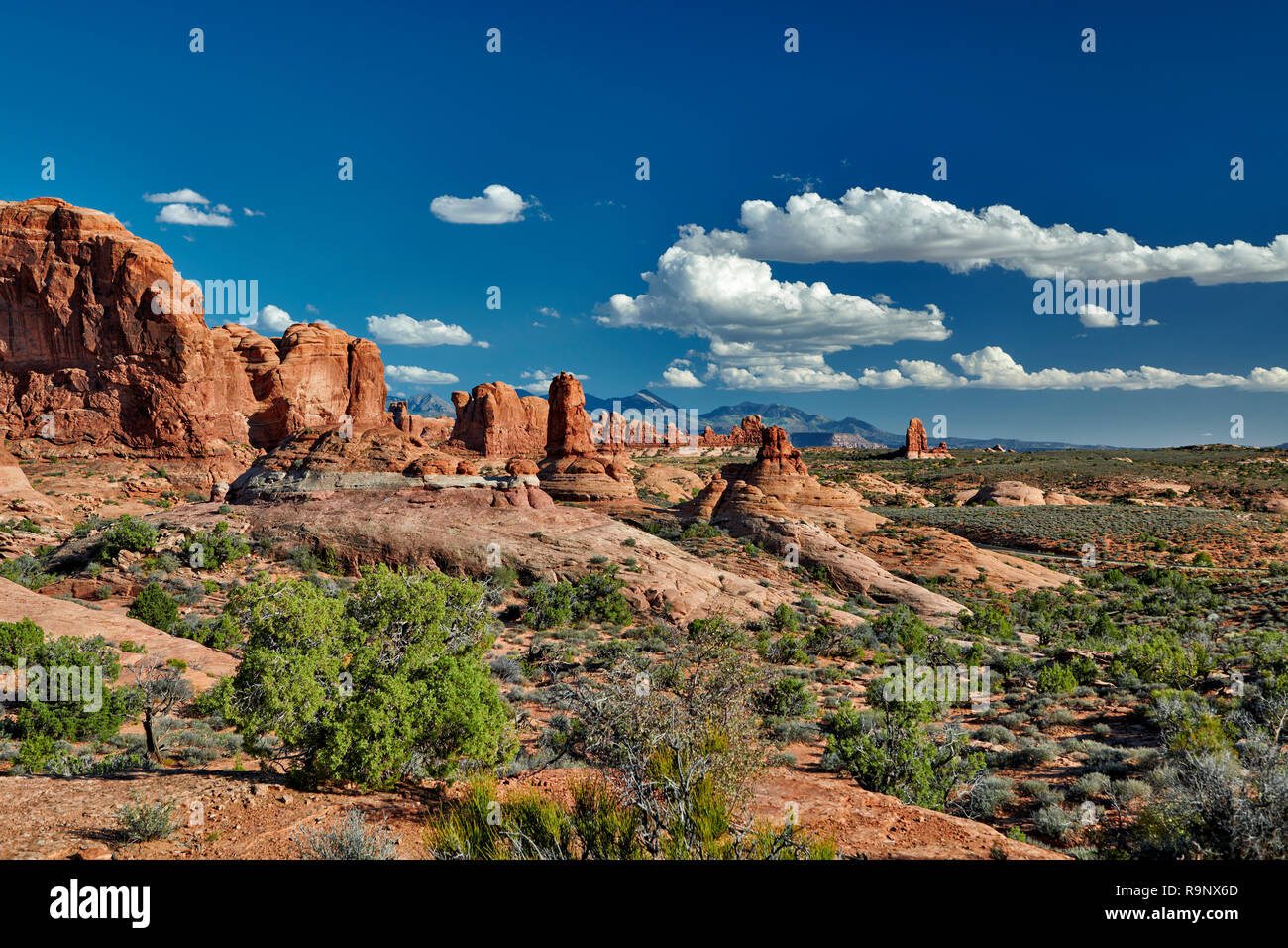 Jardin d'Eden, Arches National Park, Moab, Utah, USA, Amérique du Nord Banque D'Images