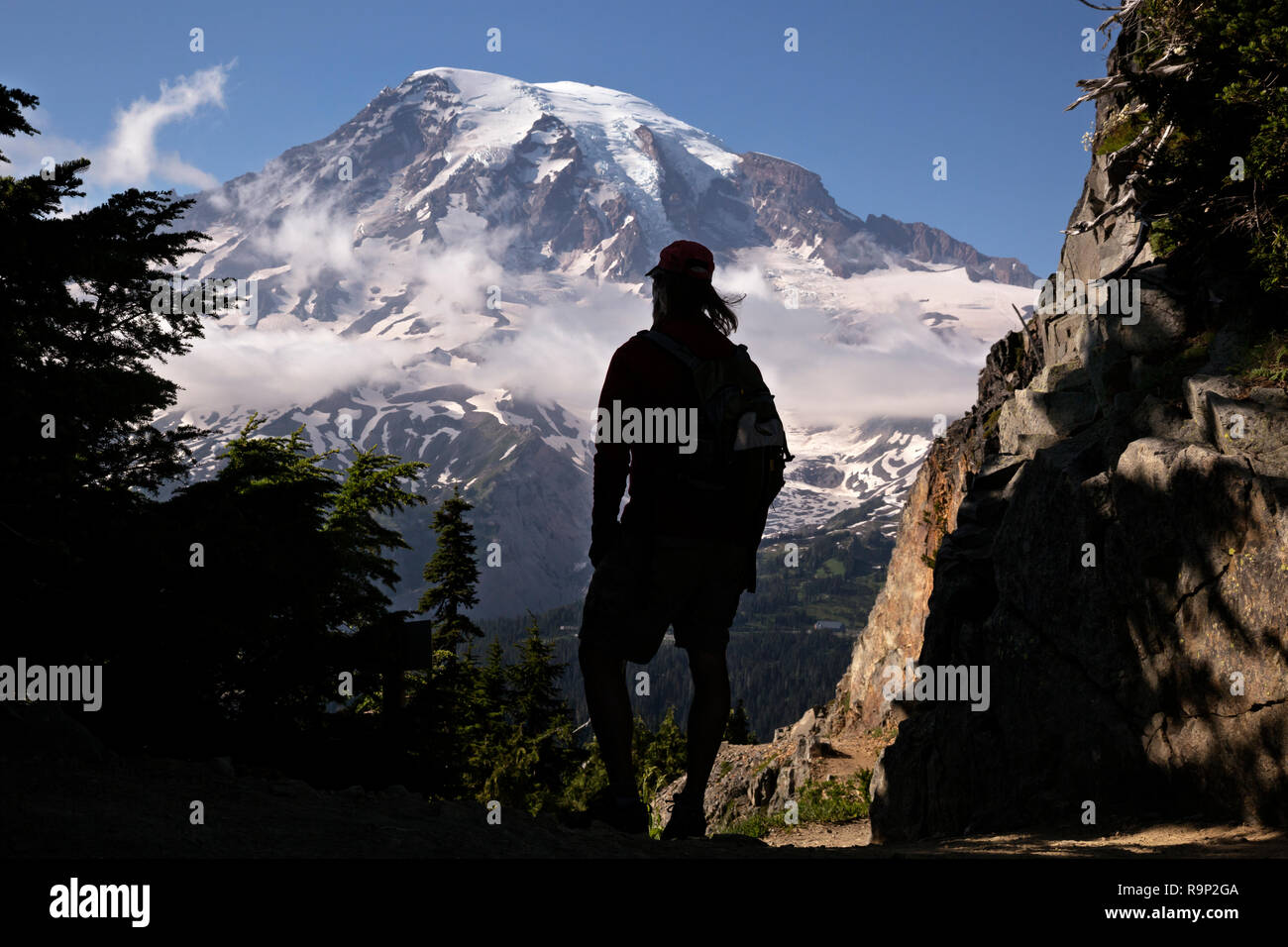 WA15607-00...WASHINGTON - Un goût à la fin de la piste à maintenir la selle sur Pinnacle Pinnacle Peak Trail dans le Parc National de Mount Rainier. Banque D'Images