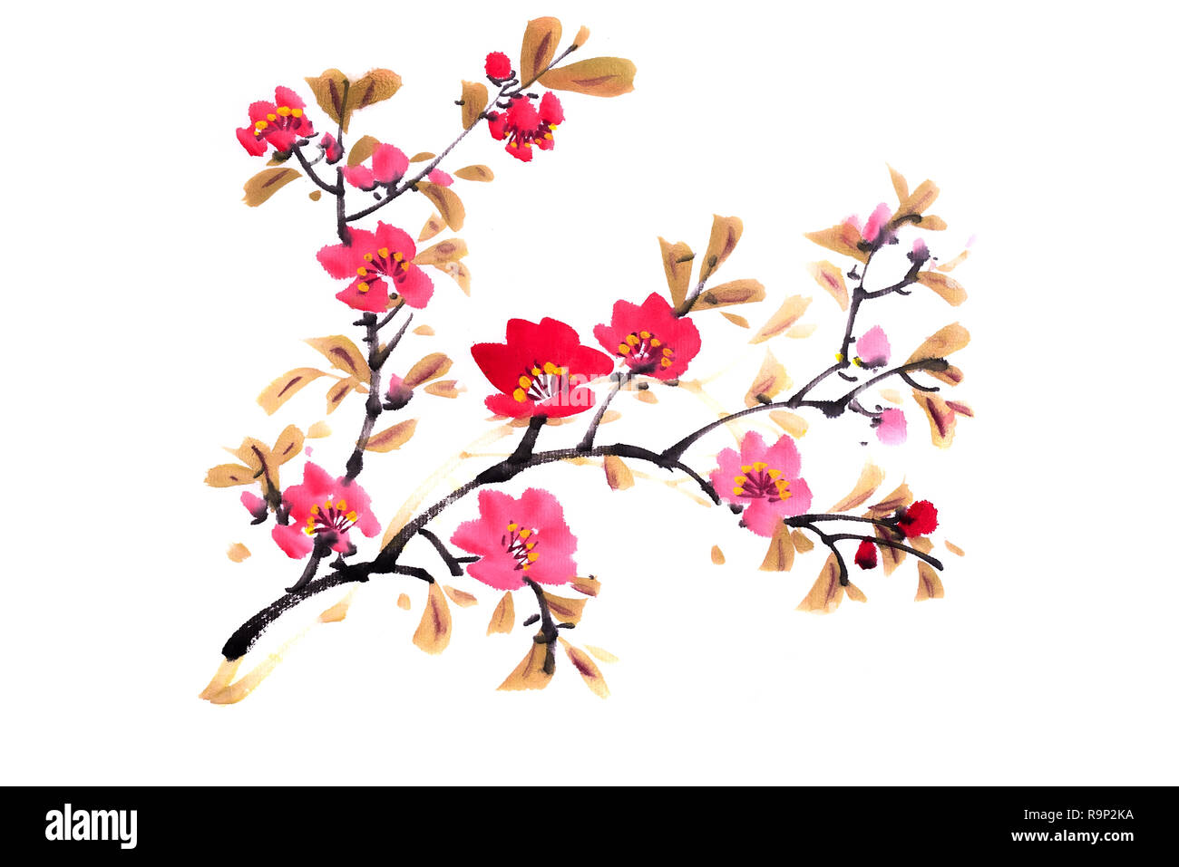 Peinture chinoise, fleurs de prunier Banque D'Images