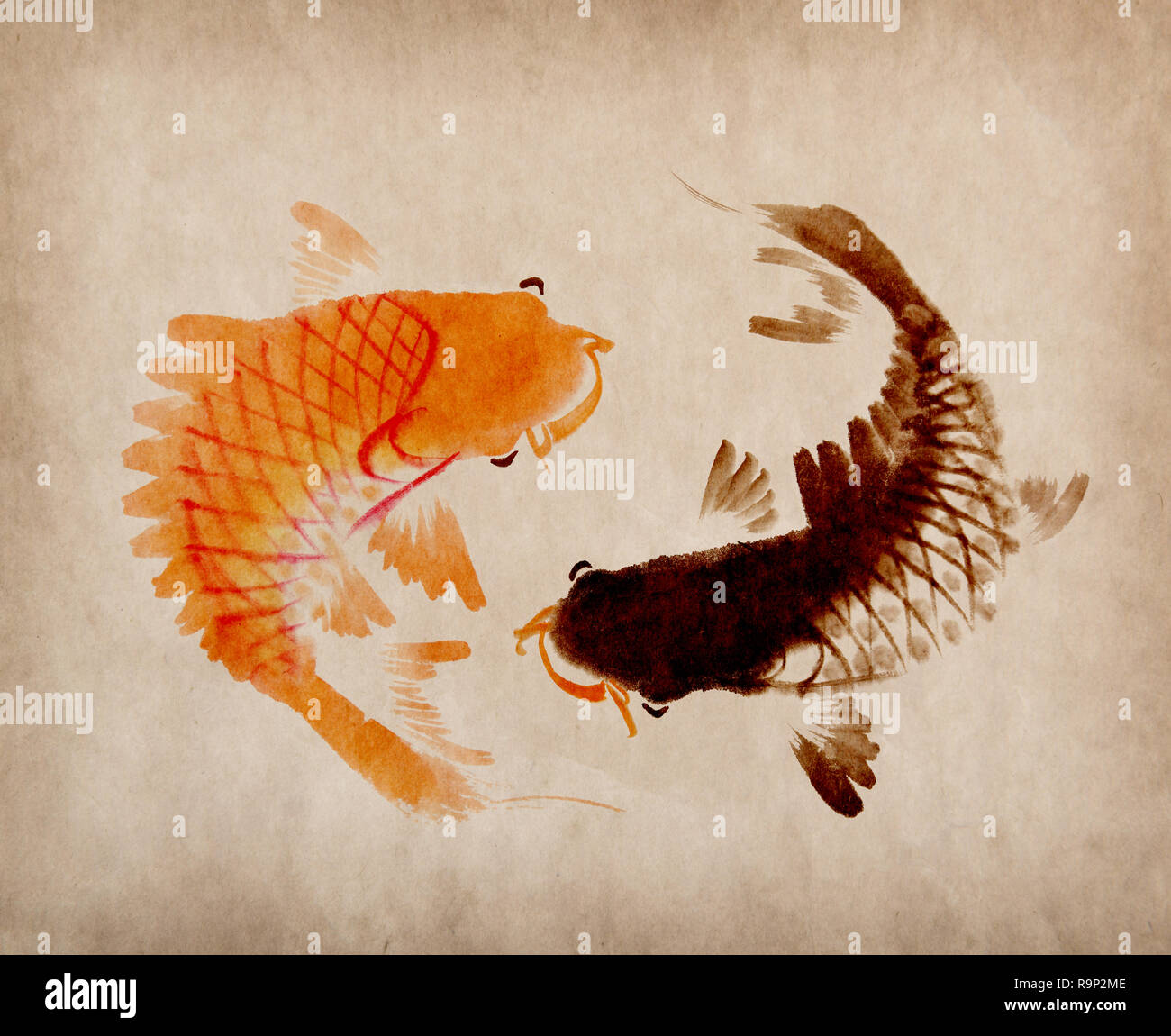 La carpe koï rouge et noir à la main dans un style traditionnel Banque D'Images