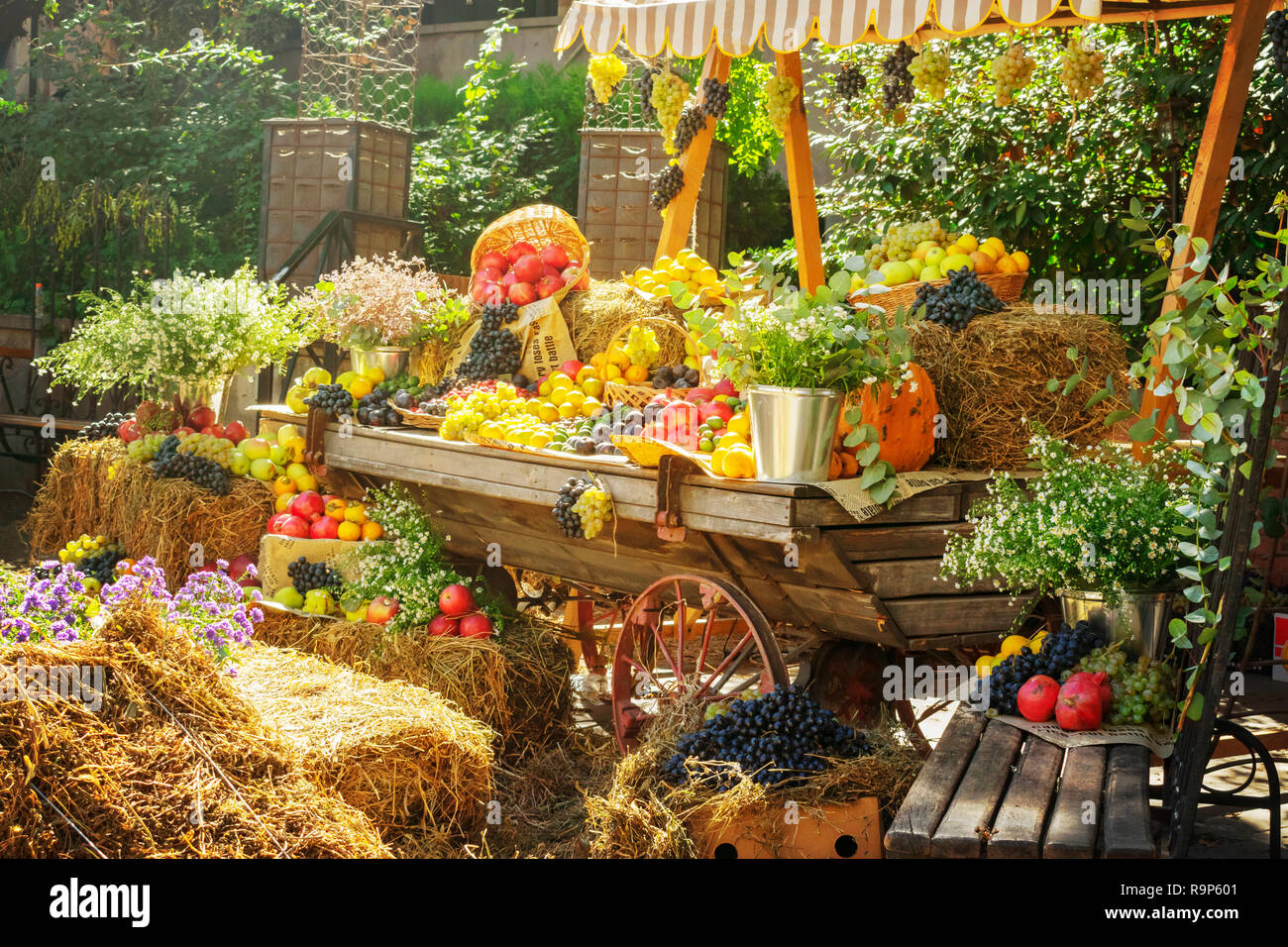 Marché de l'affichage des produits agricoles saisonniers. Fruits et légumes colorés pour l'automne décorations au salon de l'agriculture. - Image Banque D'Images