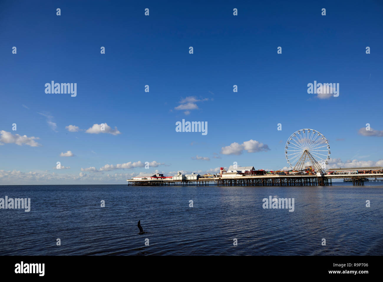 Blackpool Lancashire, promenade du bord de mer station balnéaire sur la côte de la mer d'Irlande de l'Angleterre, Central Pier avec grande roue Banque D'Images