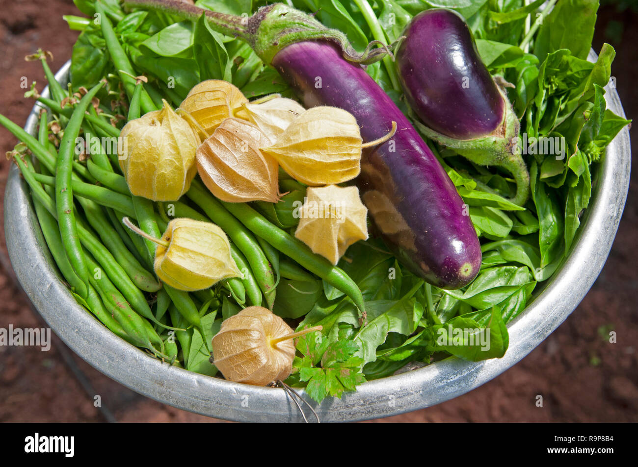 Bol avec des légumes frais du jardin dans un village, Madongo Sagada, Mountain Province, Luzon, Philippines, Asie du Sud, Asie Banque D'Images