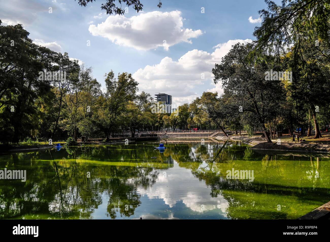 El Bosque de Chapultepec. parque urbano en la Ciudad de México. (Foto : Luis Gutierrez / NortePhoto.com). Banque D'Images