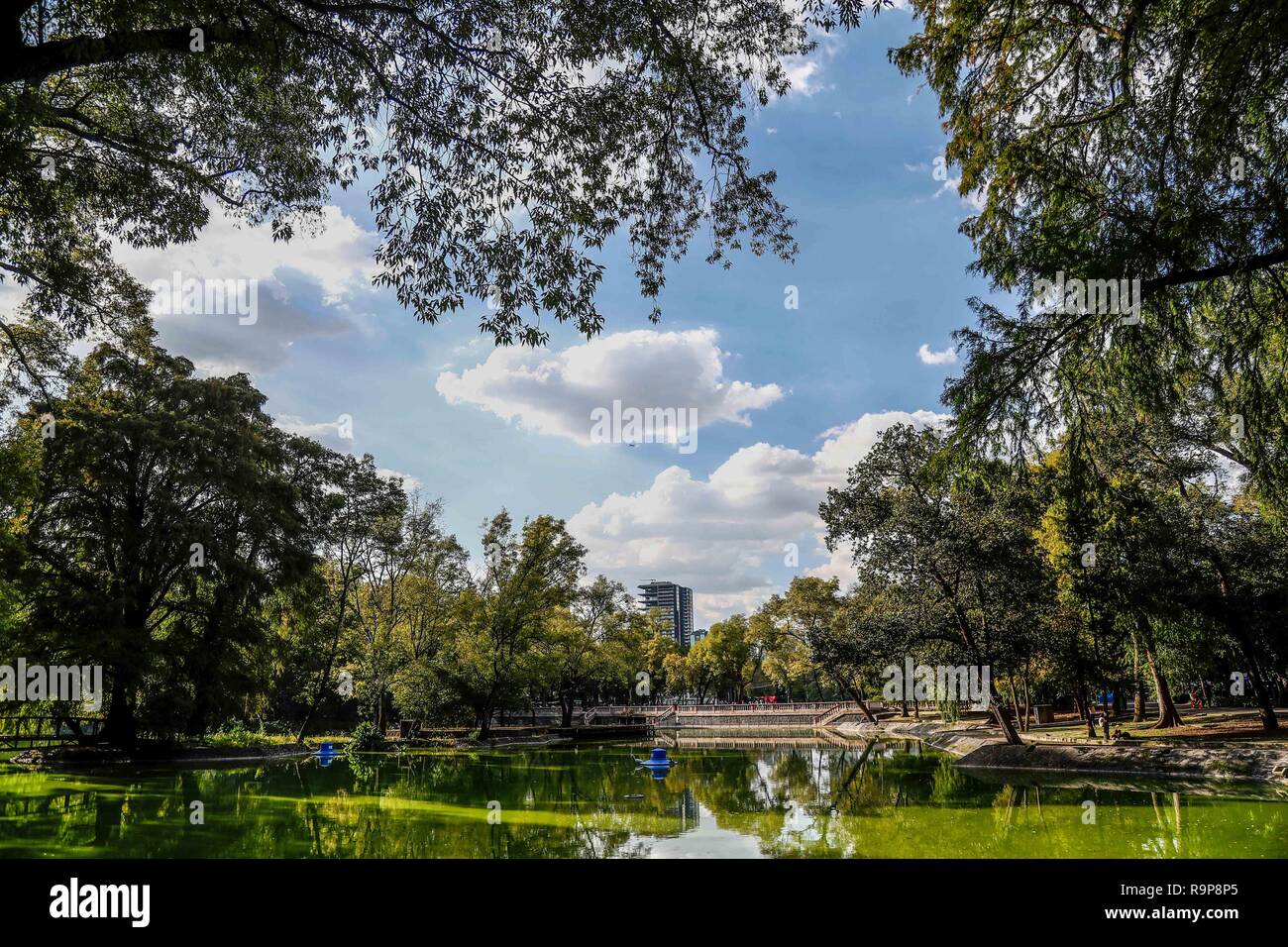 El Bosque de Chapultepec. parque urbano en la Ciudad de México. (Foto : Luis Gutierrez / NortePhoto.com). Banque D'Images