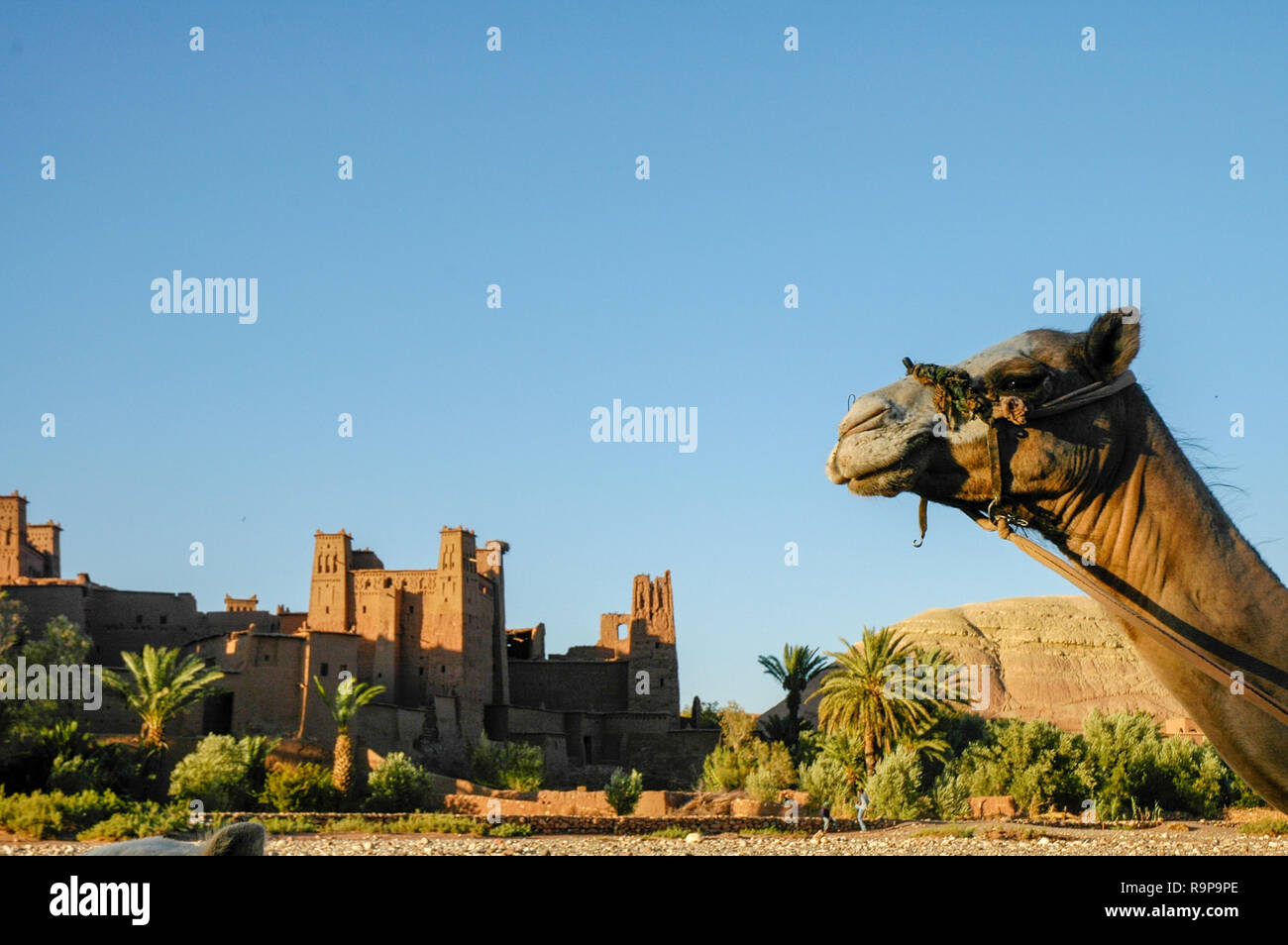 La célèbre casbah d'Art Benhaddou en Maroc Banque D'Images