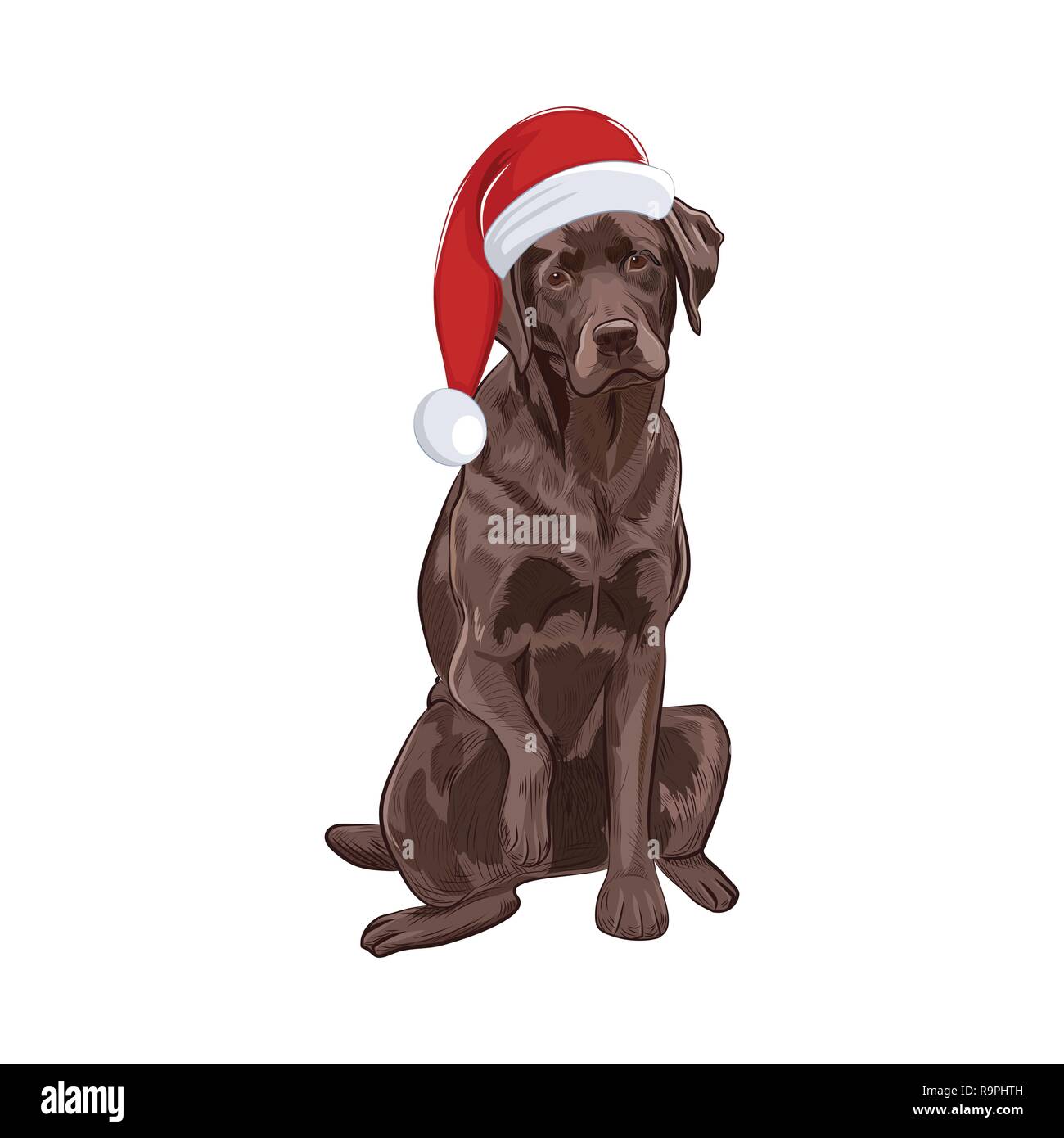 Labrador Chocolat à Santa Hat Sitting Et Donnant Une Patte