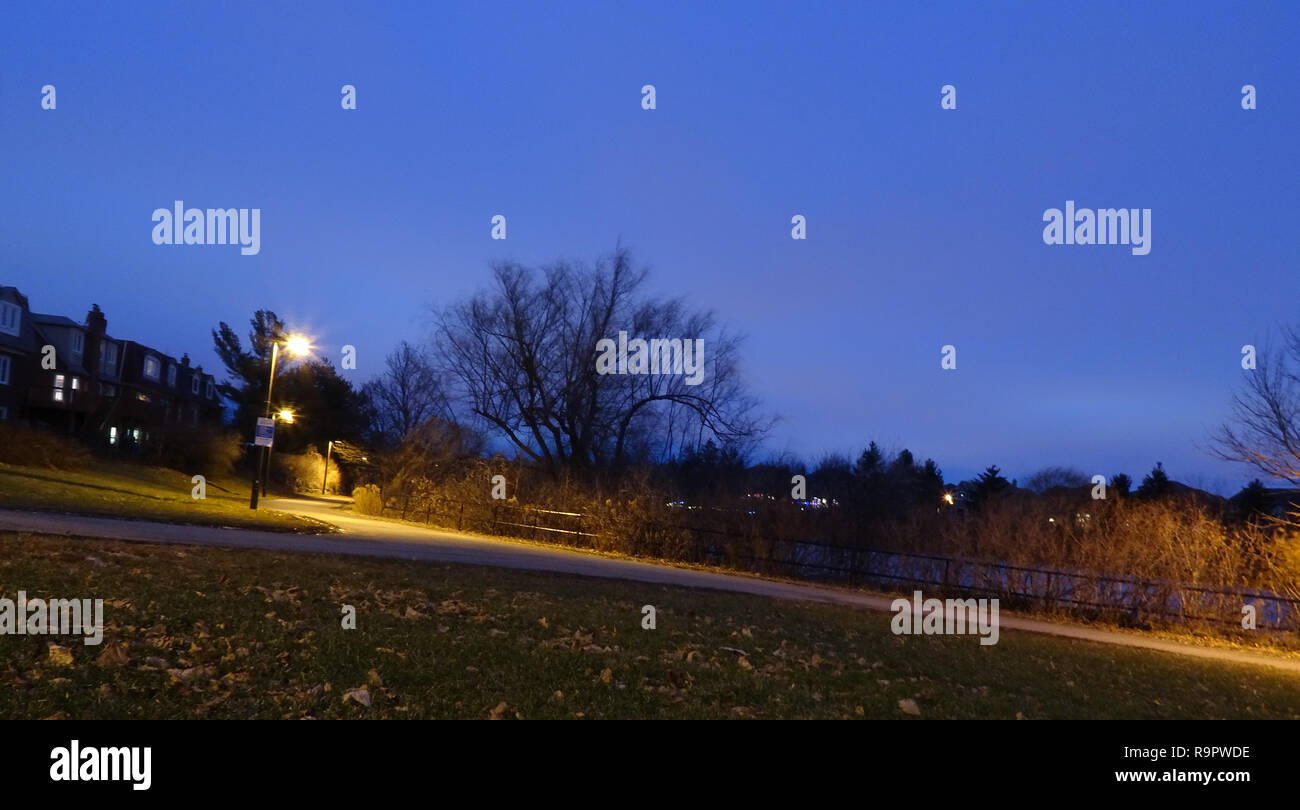 Un assortiment de plans d'un parc local prises pendant l'heure bleue. Banque D'Images