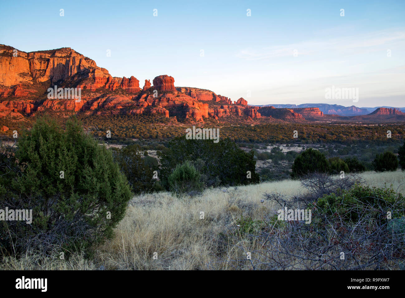 Sedona Arizona Sunset, muffin manger de la souris Banque D'Images