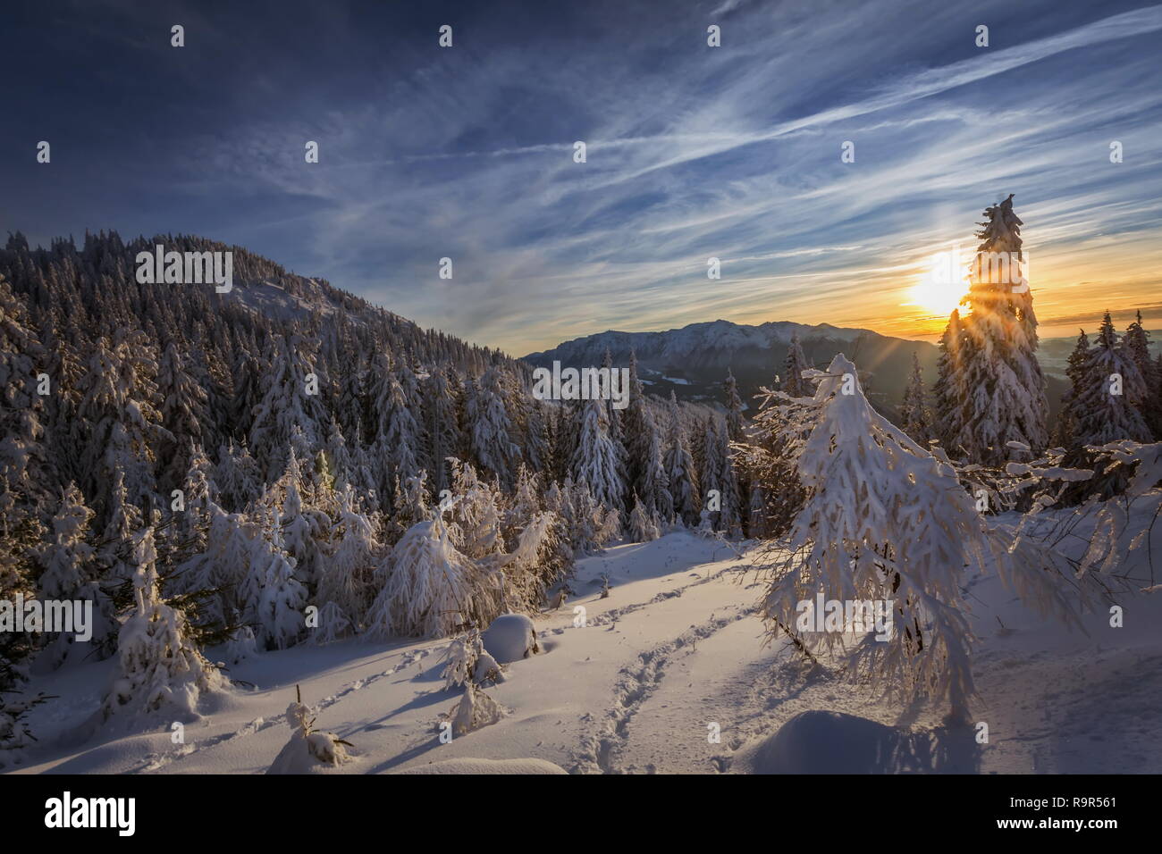 Belle scène d'hiver au coucher du soleil - grand winterscape wallpaper de Poiana Brasov Roumanie Banque D'Images
