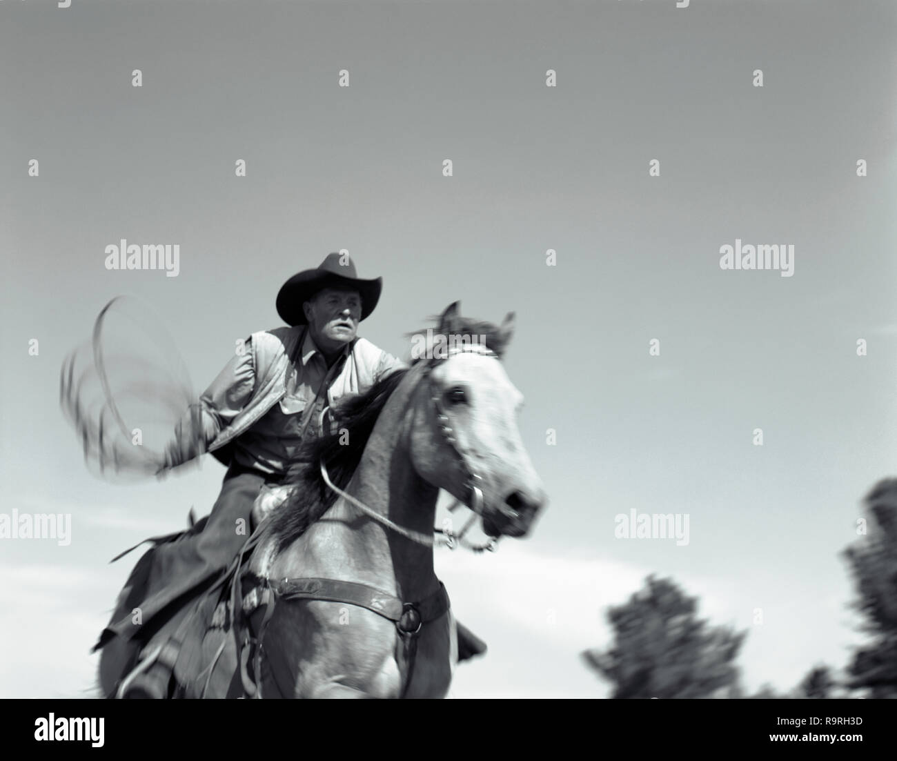 Montant un cheval de cow-boy à maturité et de se balancer d'un lasso à l'extérieur. Banque D'Images