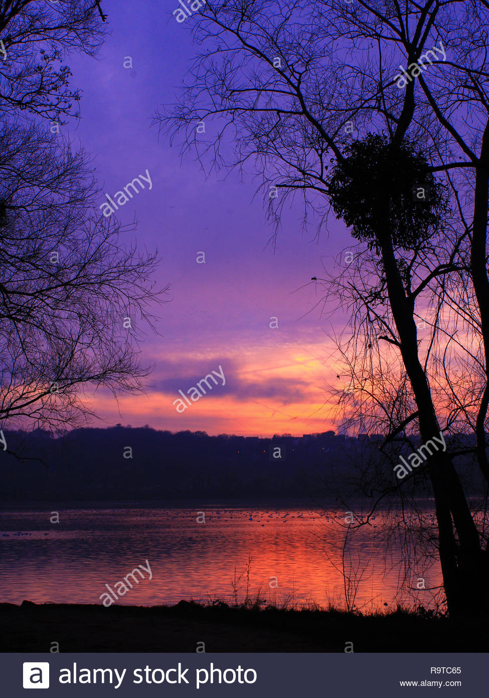 Coucher De Soleil Extraordinaire Avec Des Dégradés De