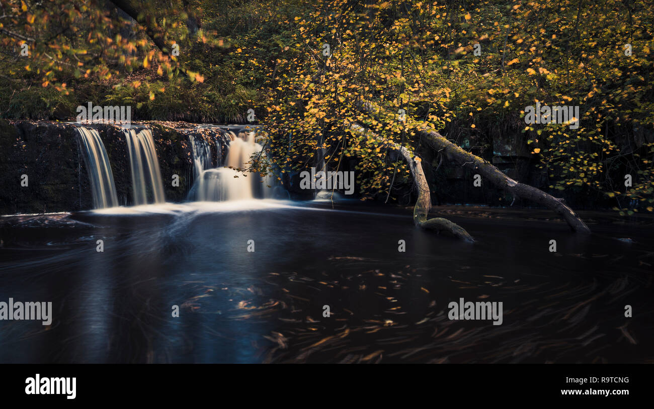 Une longue exposition d'automne debout sur la rive du fleuve de Eller Beck à la recherche vers la cascade à pied Mill Foss à Goathland Yorkshire Banque D'Images