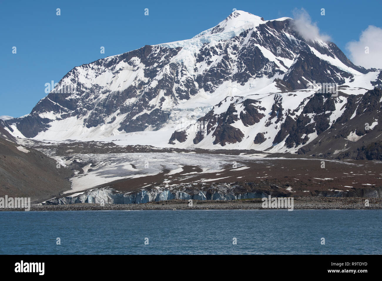 La Géorgie du Sud, Saint Andrews Bay. Vue côtière de la Géorgie du Sud et les montagnes Allardyce plus grande colonie de pingouins du roi avec le glacier Cook. Banque D'Images