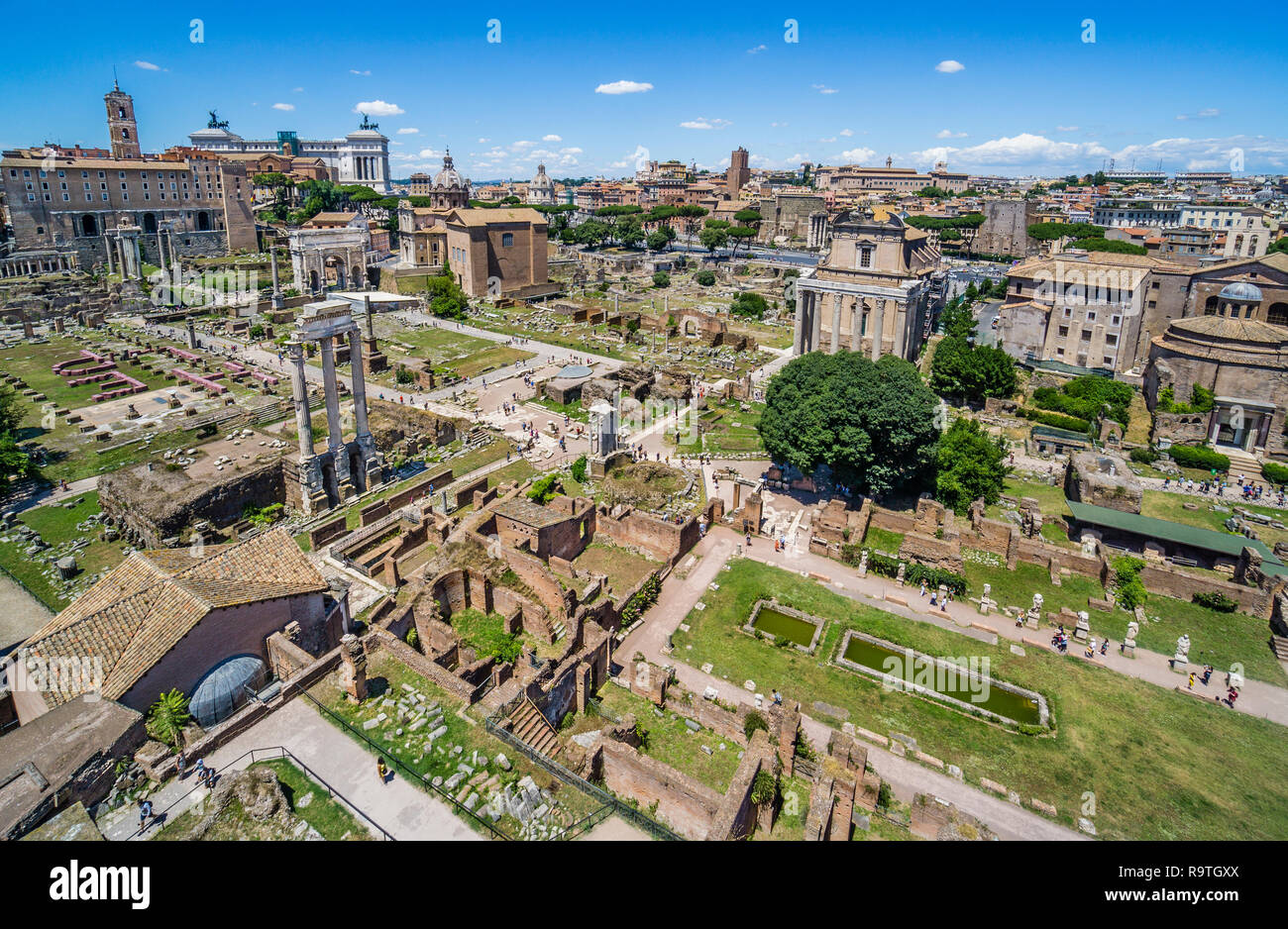 Vue panoramique sur les ruines de la Rome antique à le Forum Romain à partir de la colline du Palatin, Rome, Italie Banque D'Images