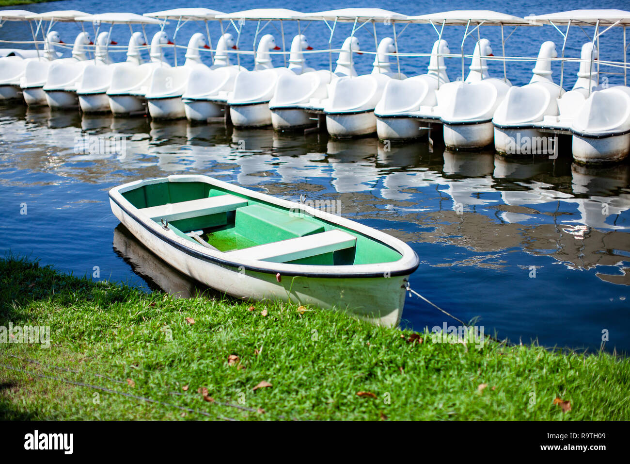 Les petits bateaux en fibre de verre de blanc et de couleur vert vif sur blue lagoon avec swan boats en arrière-plan flottant à l'embarcadère du jardin public en Ba Banque D'Images