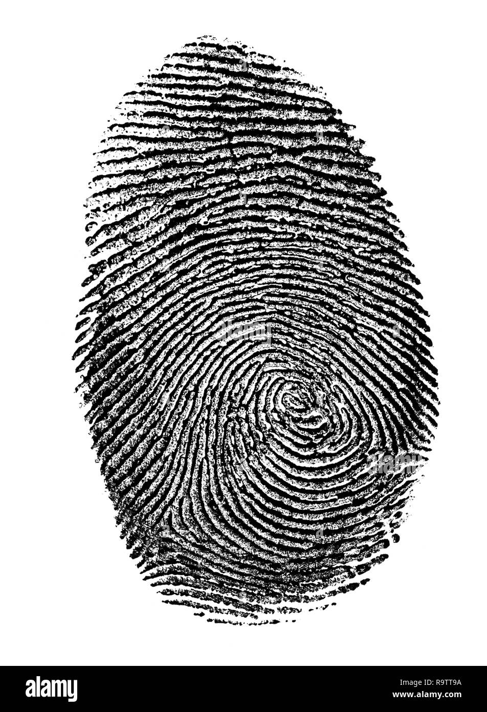 Fingerprint en noir et blanc. Du vrai fingerprint isolé en blanc, impression sur papier transparent. Banque D'Images