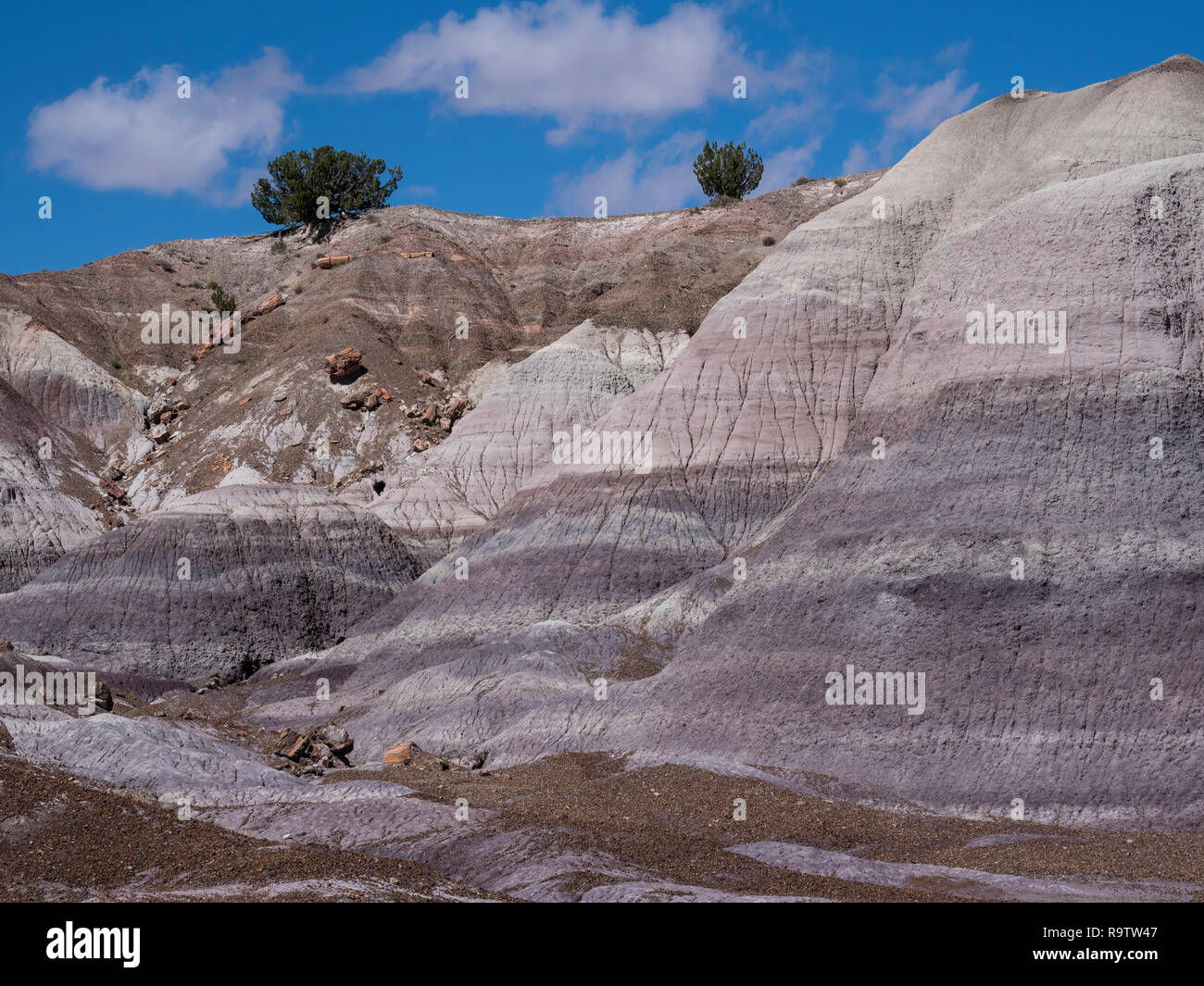 Badlands Blue Mesa de la boucle de la forêt, le Parc National de la Forêt Pétrifiée, Arizona. Banque D'Images