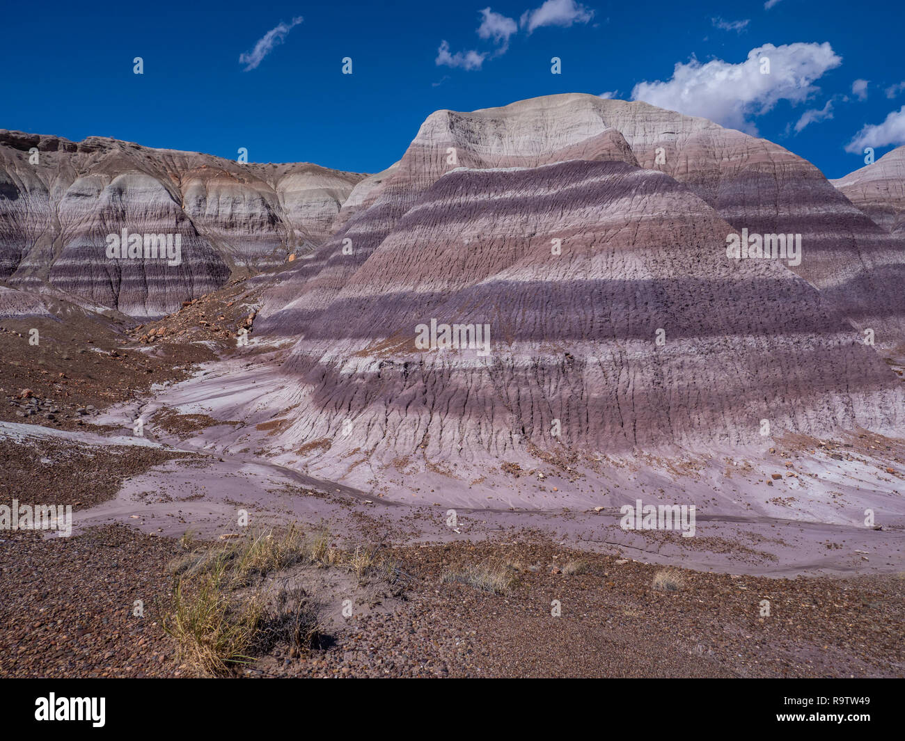 Badlands Blue Mesa de la boucle de la forêt, le Parc National de la Forêt Pétrifiée, Arizona. Banque D'Images