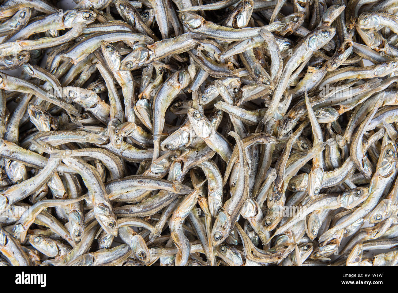 Anchois séchés utilisés dans la cuisine coréenne. Anchois séchés. Banque D'Images