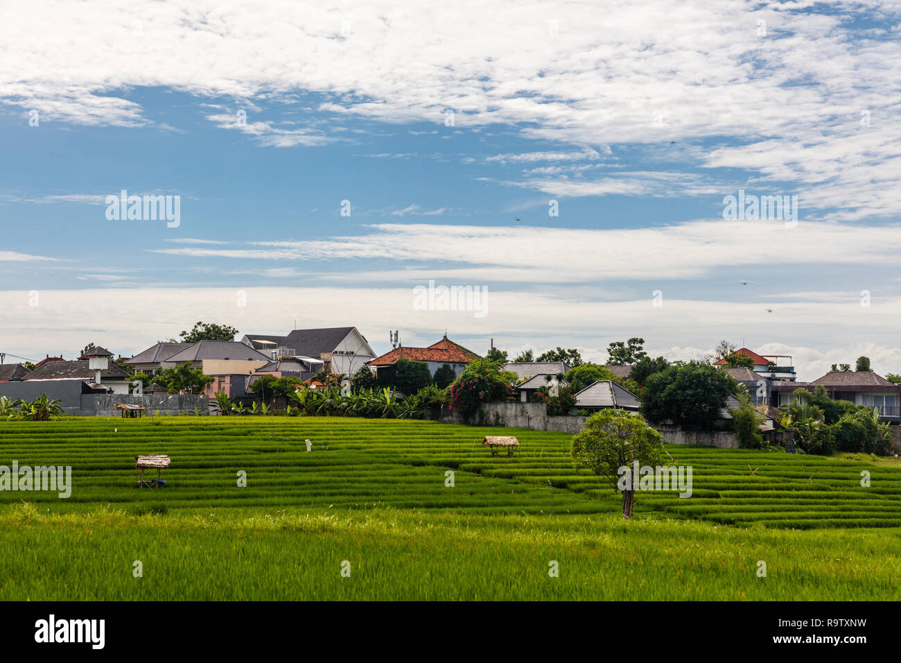 Les champs de riz, des maisons de village balinais, nuages. Paysage rural, l'île de Bali, Indonésie Banque D'Images