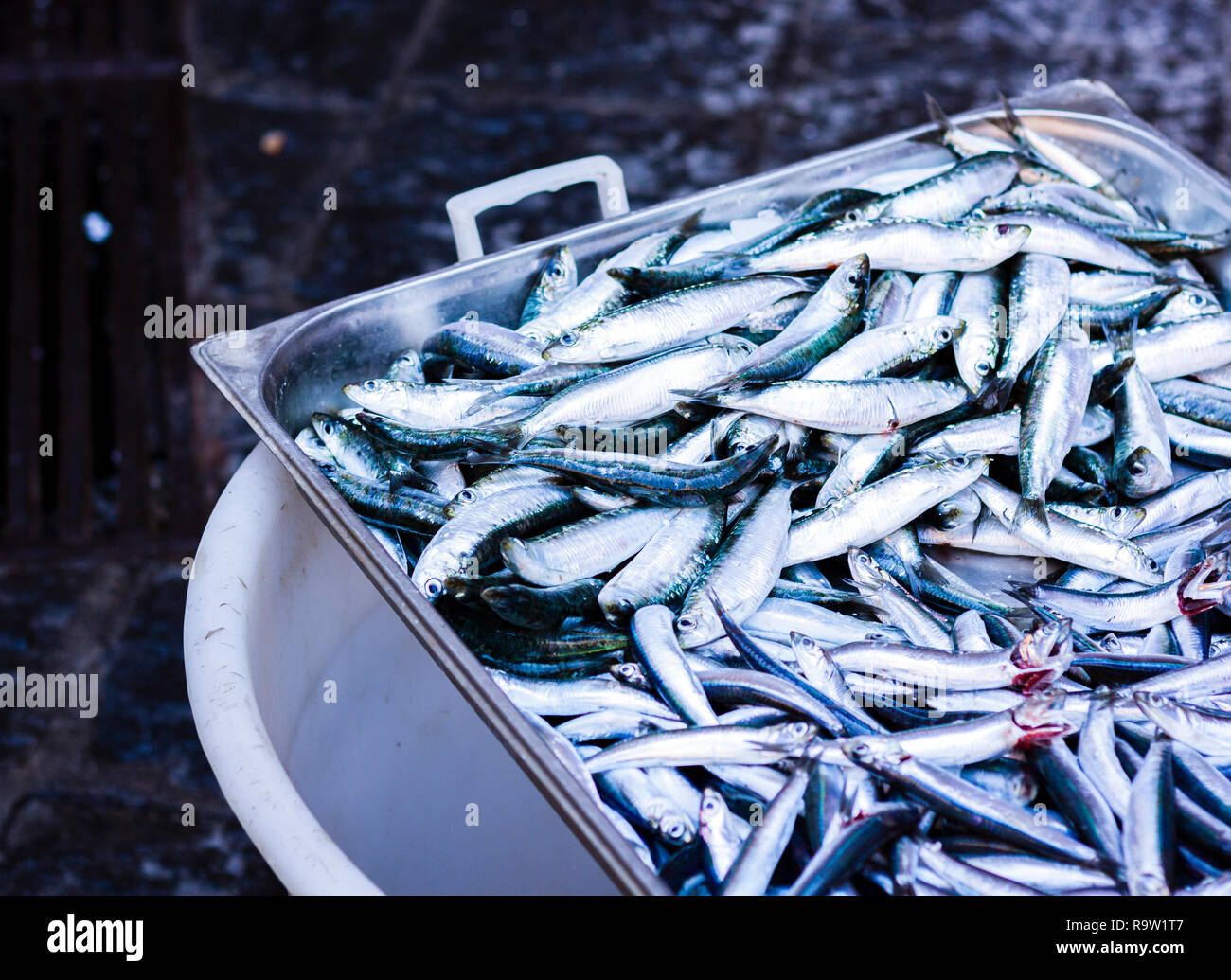 Poisson frais à vendre dans le marché aux poissons de Catane, Sicile, Italie Banque D'Images